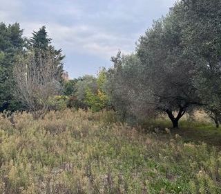  Terrain � vendre 1158 m�