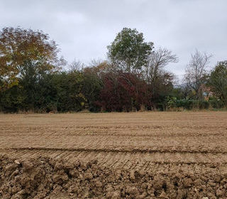  Maison 4 pi�ces 89 m� Vandi�res