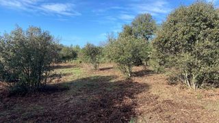  Terrain � vendre 753 m�