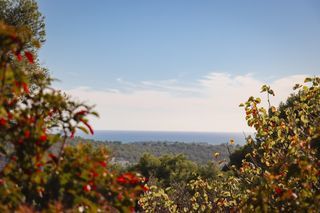  Terrain � vendre 1000 m�