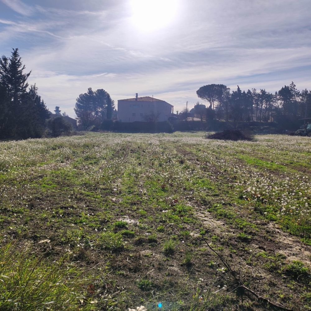 vente Terrain - 442 m� Moussan (11120)