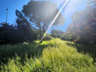  Terrain 420 m� Vaugneray