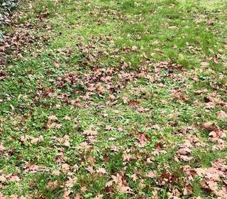  Terrain � vendre 655 m�