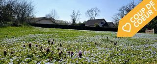  Terrain 812 m� Poisy