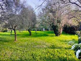  Terrain � vendre 1000 m�