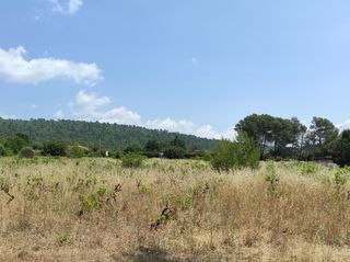  Terrain � vendre 1180 m�