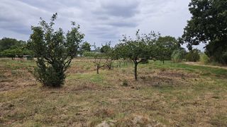  Terrain � vendre 503 m�