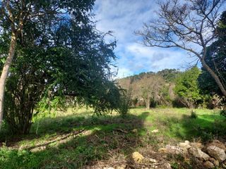  Terrain � vendre 503 m�