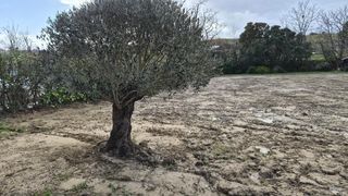  Maison 6 pi�ces 110 m� Ramonville-saint-agne