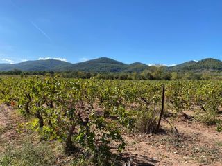  Maison � vendre 4 pi�ces 105 m�