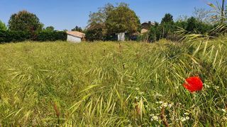  Terrain � vendre 800 m�