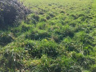  Maison 3 pi�ces 60 m� Chassors