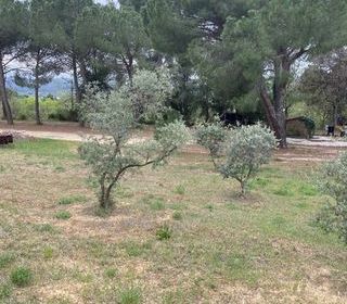  Terrain � vendre 409 m�