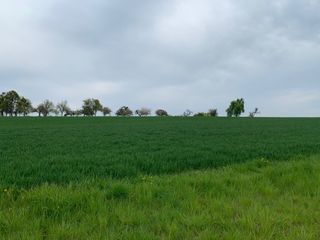  Terrain � vendre 498 m�