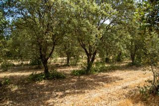  Terrain � vendre 751 m�