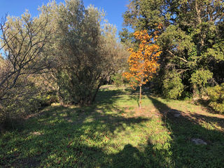  Terrain � vendre 880 m�