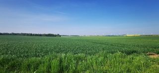  Terrain � vendre 984 m�