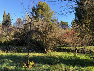  Terrain 870 m� Carnoules