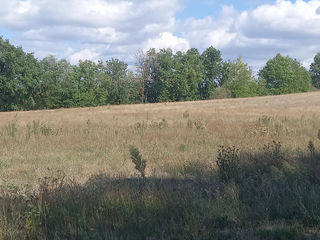  Terrain � vendre 605 m�