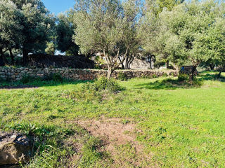  Terrain � vendre 500 m�