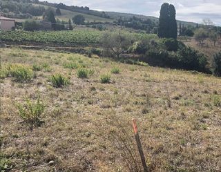  Terrain � vendre 1000 m�