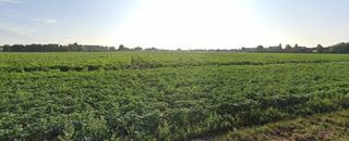  Terrain 489 m� R�ches