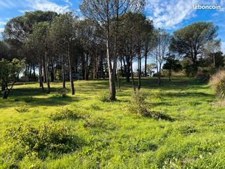  Terrain � vendre 1413 m�