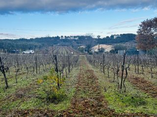  Terrain � vendre 1000 m�