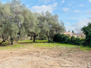  Maison 3 pi�ces 88 m� Cuers