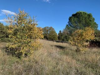  Terrain � vendre 1400 m�