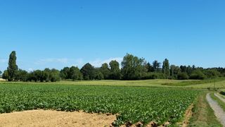  Maison � vendre 7 pi�ces 150 m�