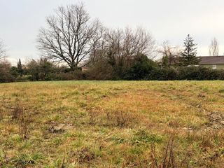  Maison 5 pi�ces 110 m� Moulis-en-m�doc