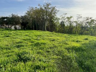  Terrain � vendre 302 m�