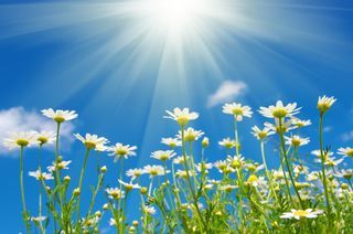  Terrain � vendre 587 m�