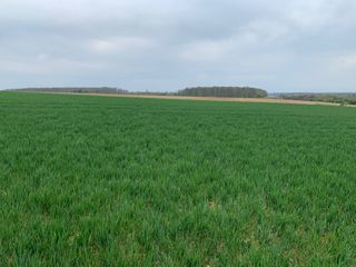  Terrain � vendre 498 m�