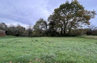  Terrain 492 m� Saint-hilaire-de-chal�ons