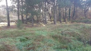  Maison � vendre 5 pi�ces 131 m�