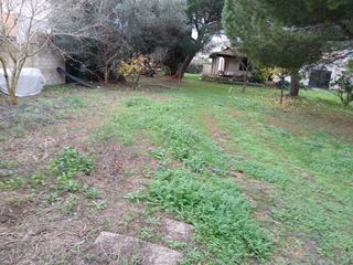  Terrain � vendre 242 m�