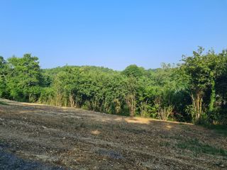  Terrain � vendre 590 m�