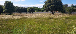  Maison 7 pi�ces 145 m� L'isle-sur-la-sorgue