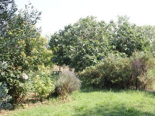  Terrain � vendre 720 m�