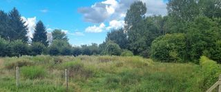  Maison � vendre 6 pi�ces 105 m�