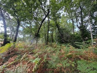  Terrain � vendre 2019 m�