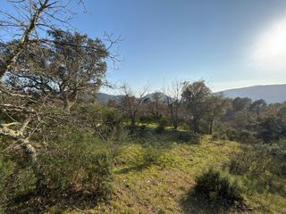  Terrain � vendre 9800 m�