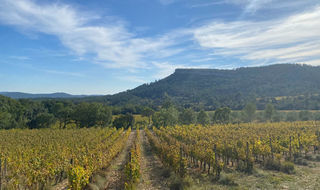  Terrain � vendre 788 m�