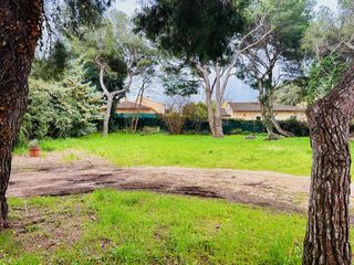  Terrain � vendre 705 m�