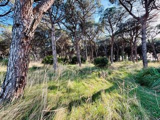  Terrain � vendre 2150 m�