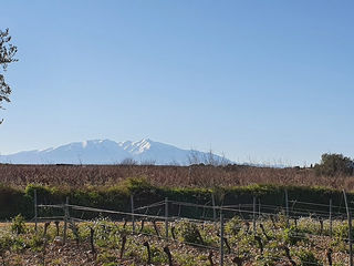  Terrain � vendre 614 m�