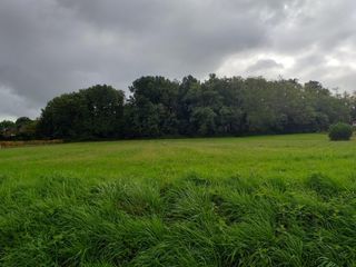  Terrain � vendre 980 m�