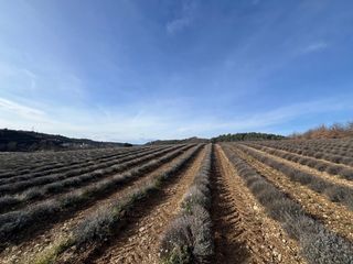  Terrain � vendre 617 m�